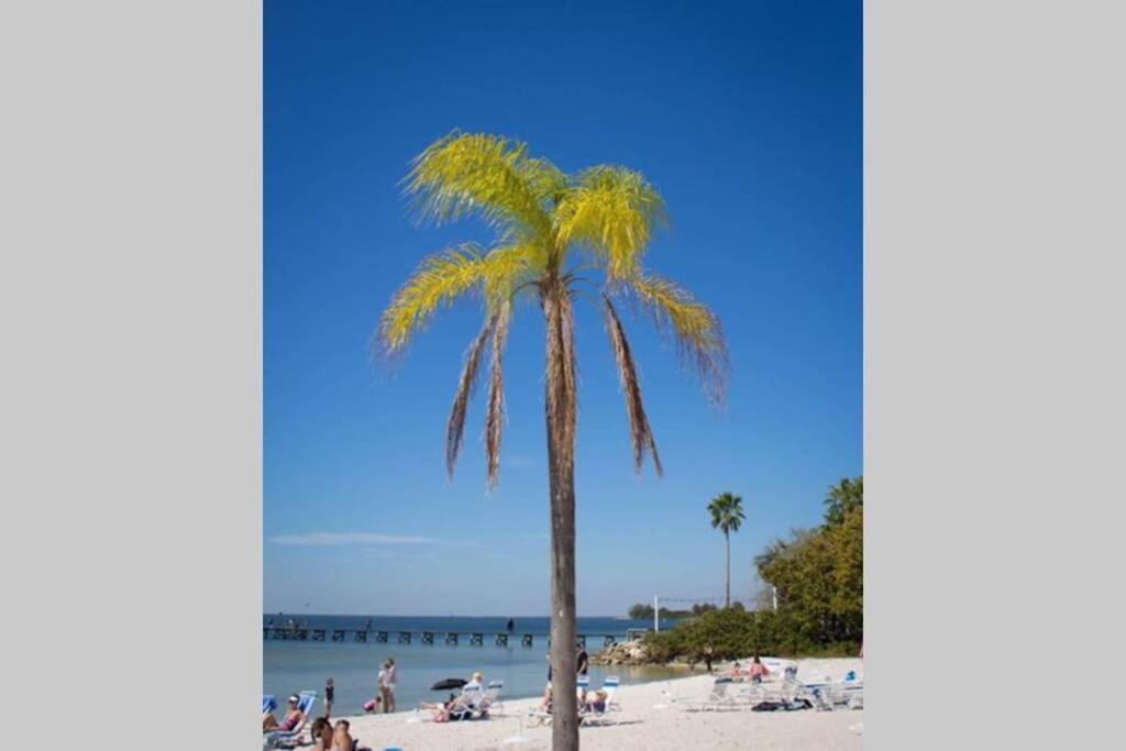 Sea Breeze, Studio 510, Beach Steps Away!+Pool+Wifi Ruskin Exterior photo