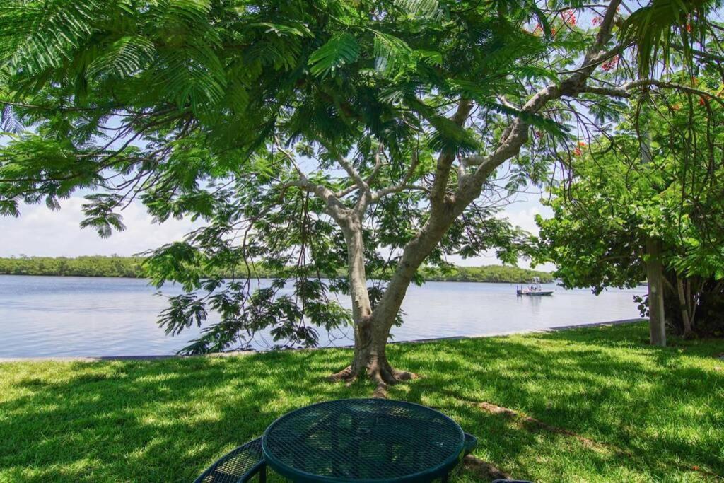 Sea Breeze, Studio 510, Beach Steps Away!+Pool+Wifi Ruskin Exterior photo